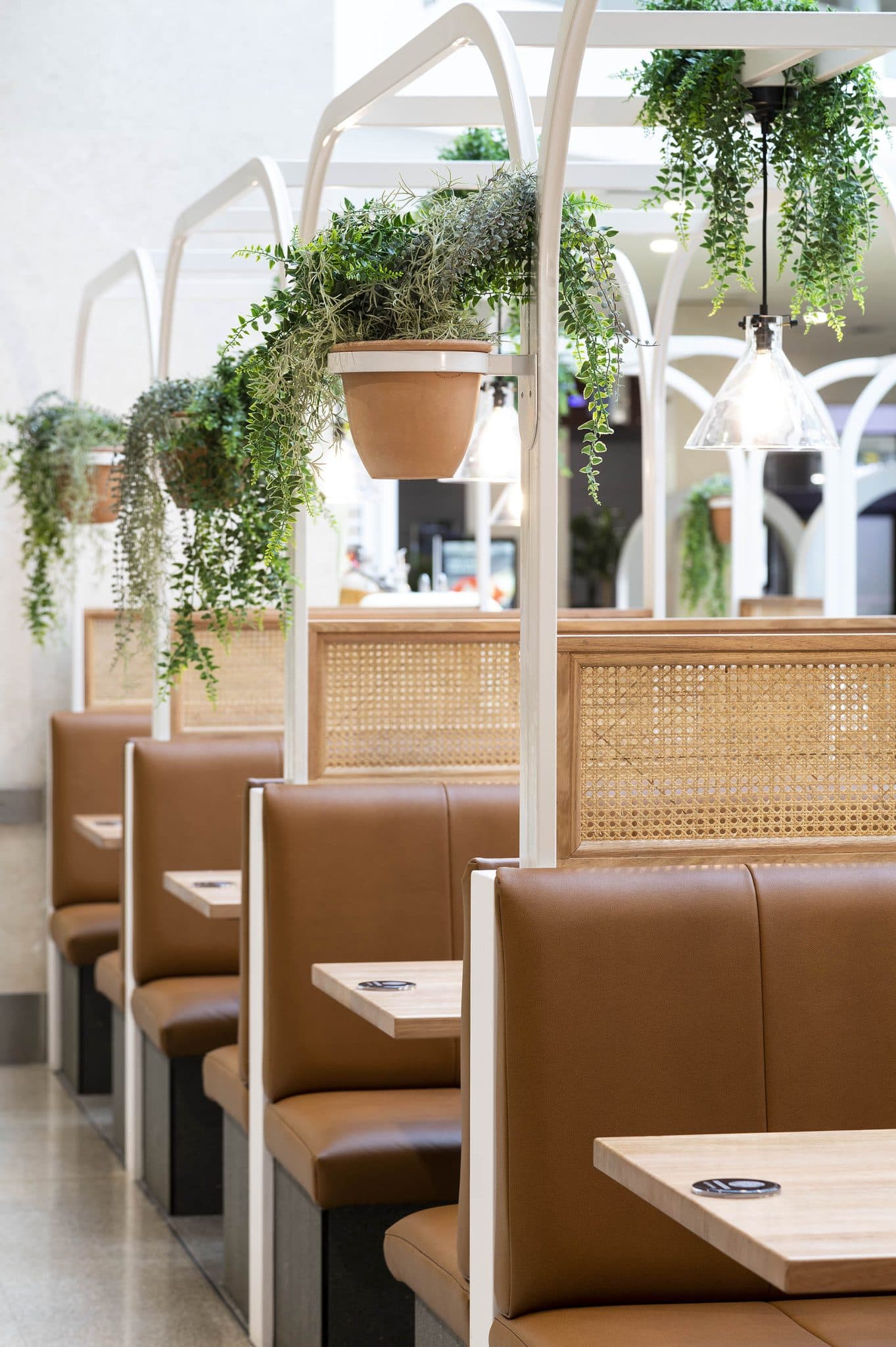 Indoor seating with hanging plants at Frankie B's Brunch House.